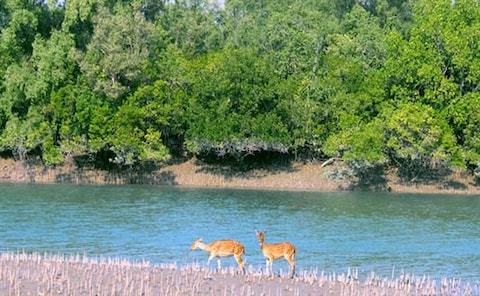 Haliday Wildlife Sanctuary
